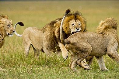 恐怖游戏《沉没之城2》新概念艺术图 令人毛骨悚然