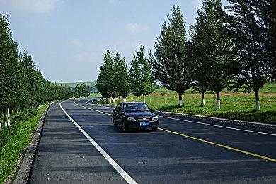 经典名作《蜜蜂模拟器》新装版8月登陆Steam 体验蜜蜂生活